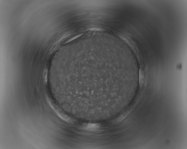 X0000116120157200912071354