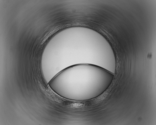 X0000116120158200912071354