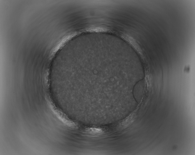 X0000116120159200912071354