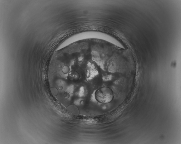 X0000116120161200912071354