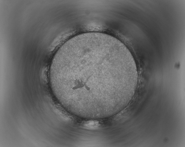 X0000116120162200912071354