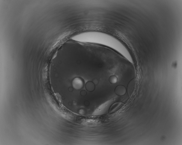 X0000116120163200912071354