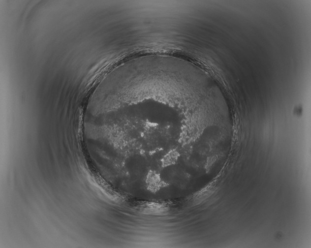 X0000116120166200912071354