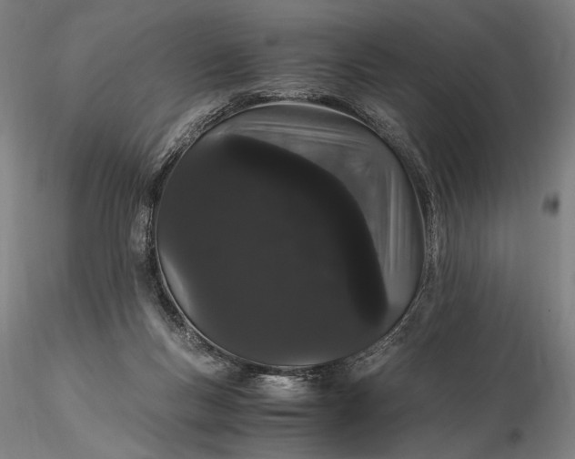 X0000116120167200912071354