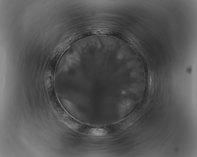 X0000116120169200912071354