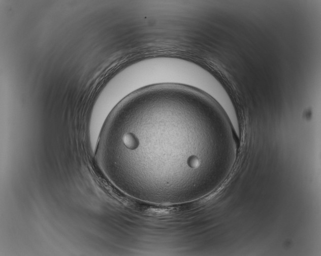 X0000116120170200912071354