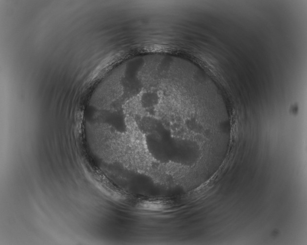 X0000116120171200912071354