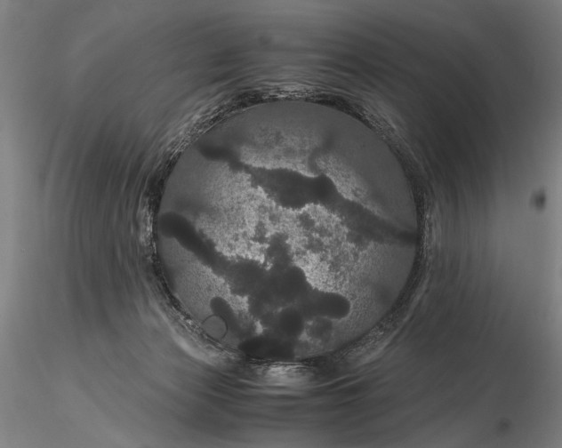 X0000116120173200912071354