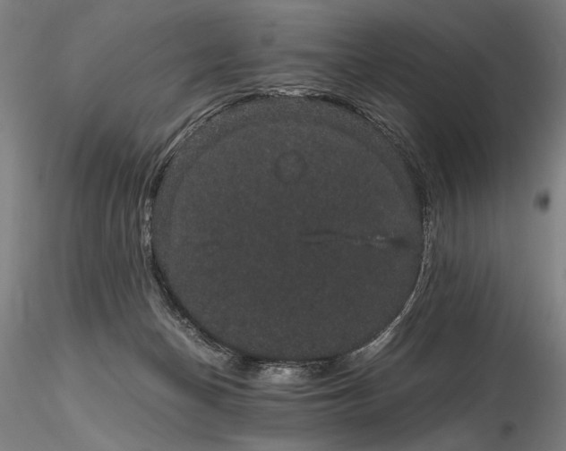 X0000116120174200912071354