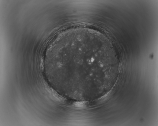 X0000116120178200912071354