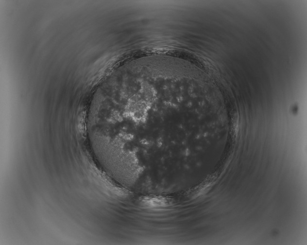 X0000116120181200912071354