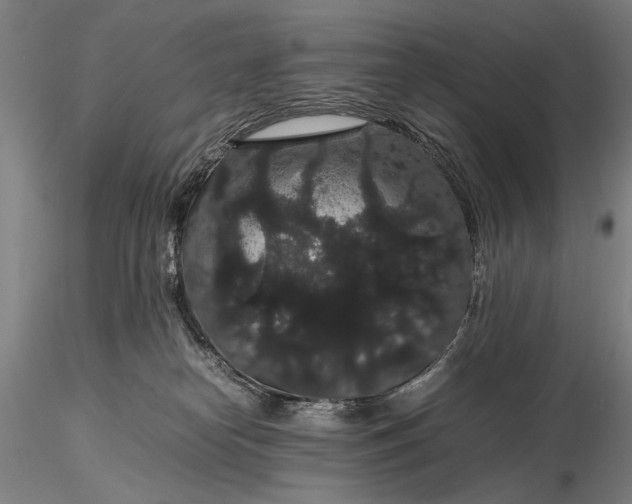 X0000116120182200912071354