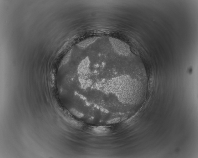 X0000116120183200912071355