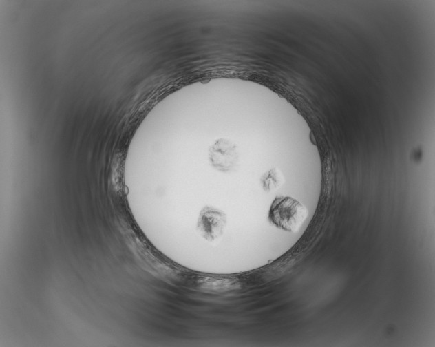 X0000116120185200912071355