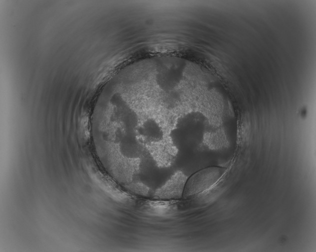 X0000116120187200912071355