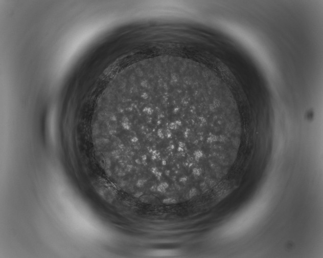 X0000116120189200912071355