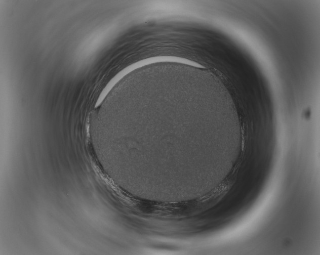 X0000116120190200912071355