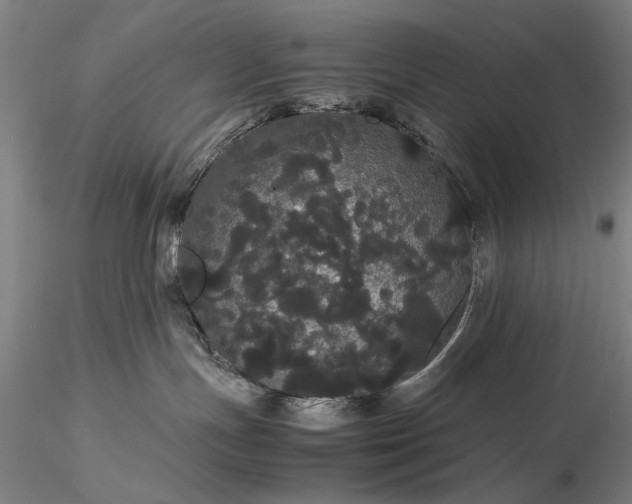 X0000116120191200912071355