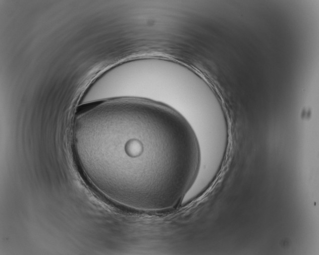 X0000116120193200912071354