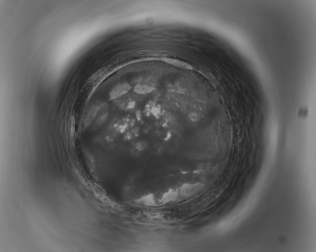 X0000116120194200912071354