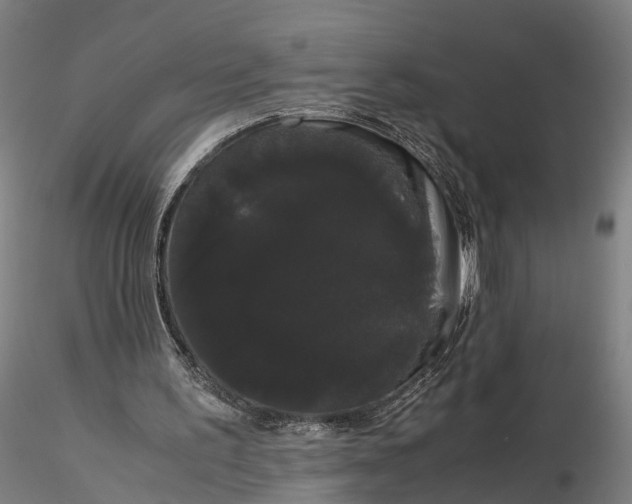 X0000116120195200912071354