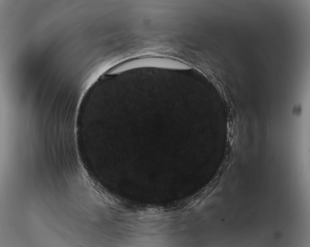 X0000116120196200912071354