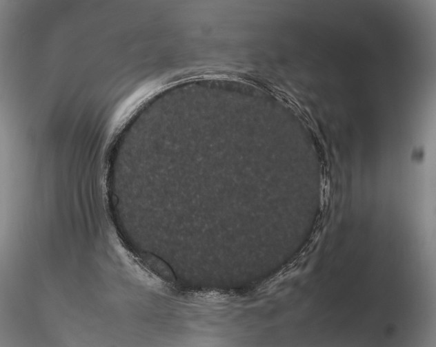 X0000116120197200912071354