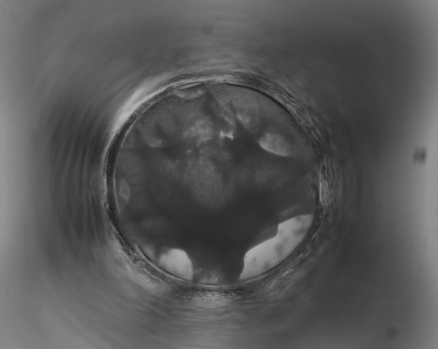 X0000116120198200912071354