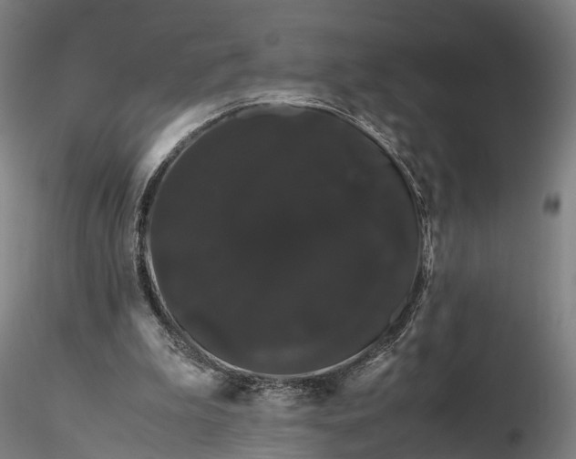 X0000116120199200912071354