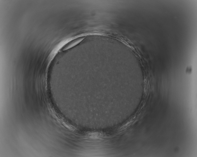 X0000116120200200912071354