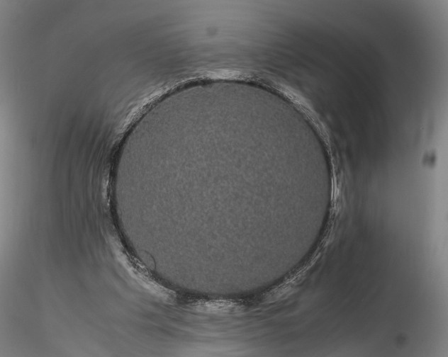 X0000116120201200912071354