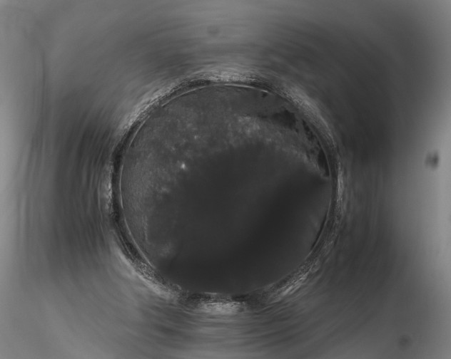 X0000116120202200912071354