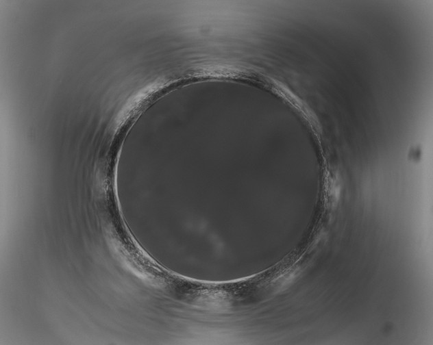 X0000116120203200912071354