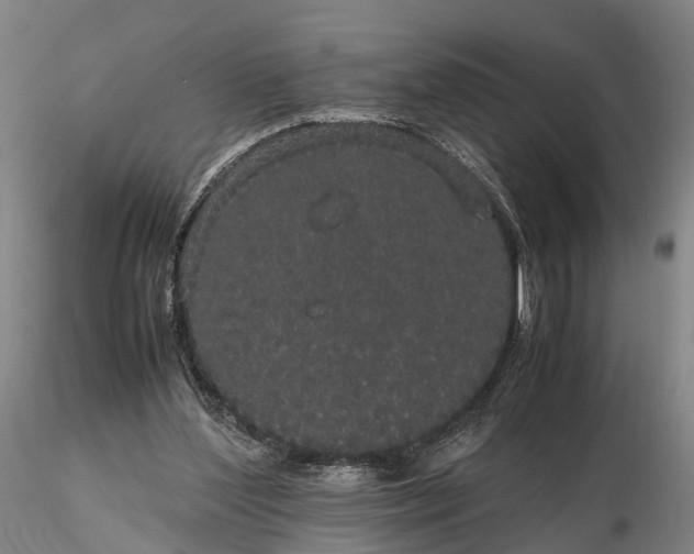 X0000116120204200912071354