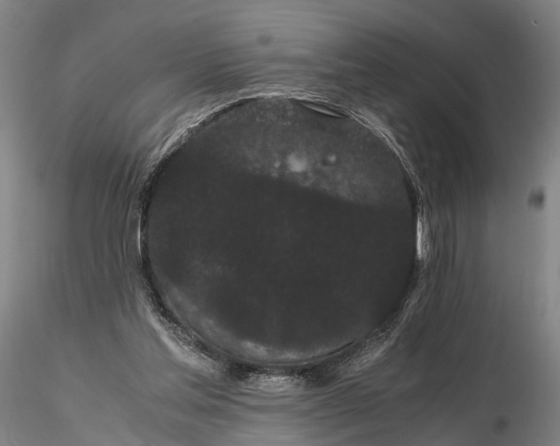 X0000116120205200912071354