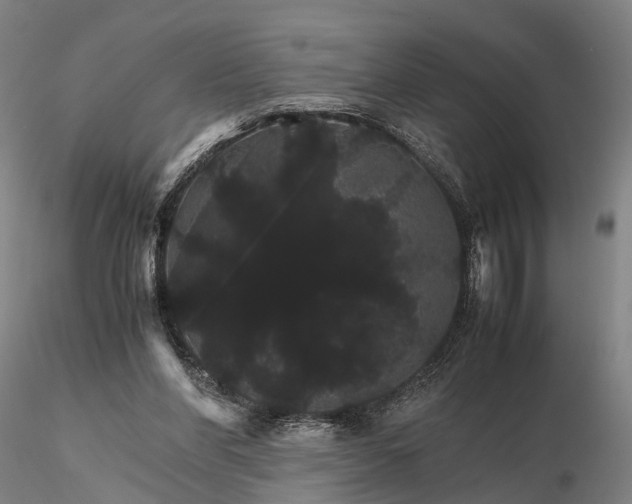 X0000116120206200912071354