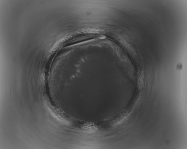 X0000116120207200912071354