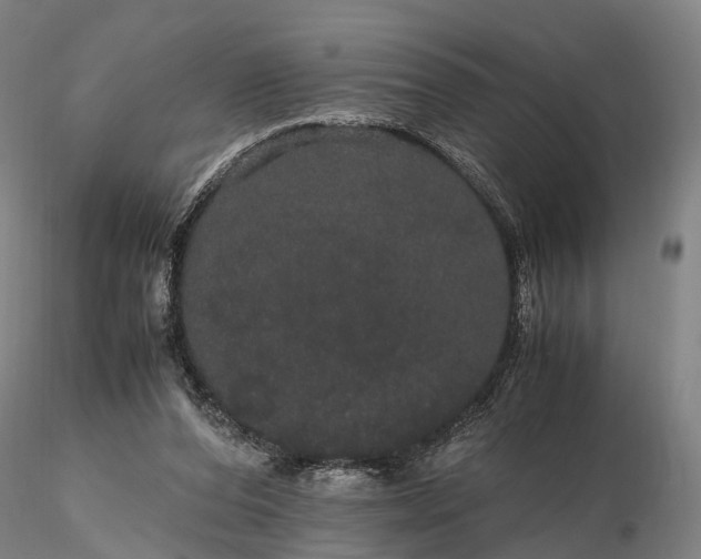 X0000116120208200912071354