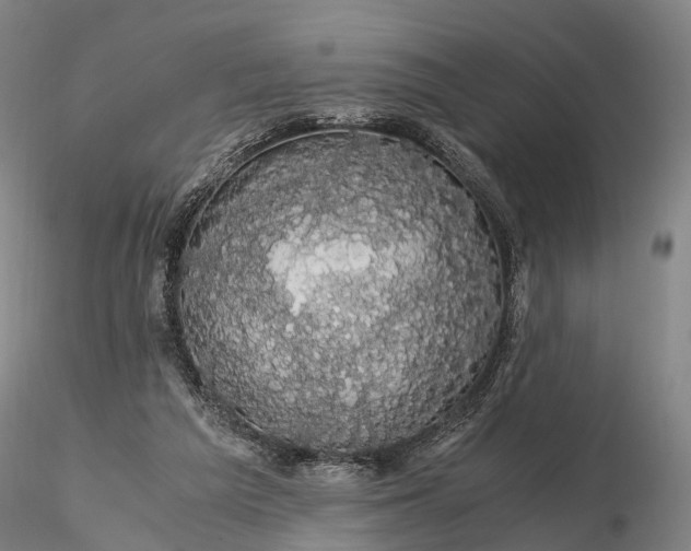 X0000116120209200912071354