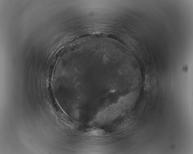 X0000116120210200912071354