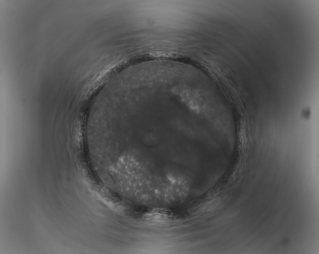 X0000116120211200912071354