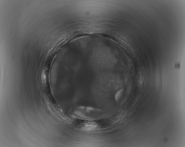 X0000116120214200912071354