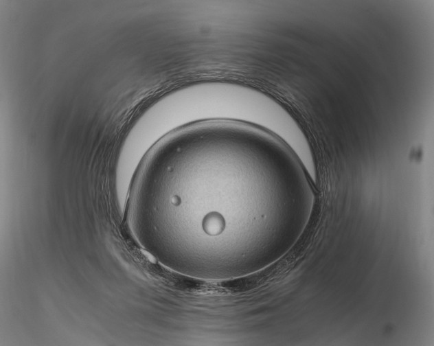 X0000116120215200912071353