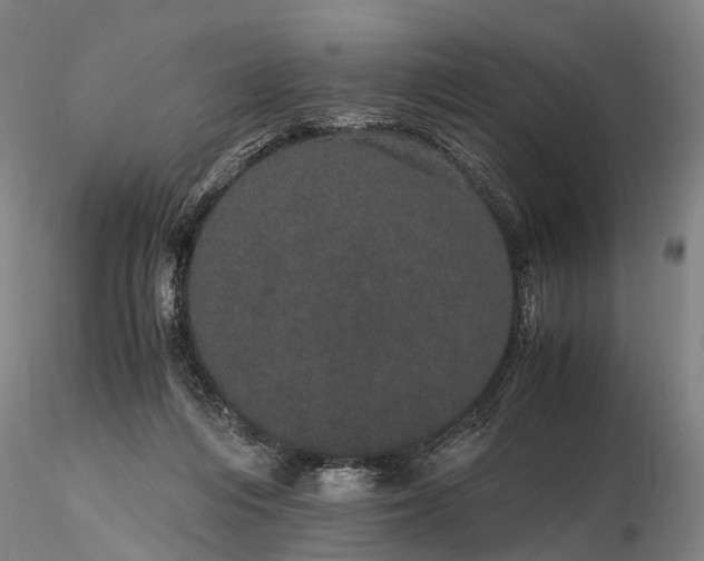 X0000116120216200912071353