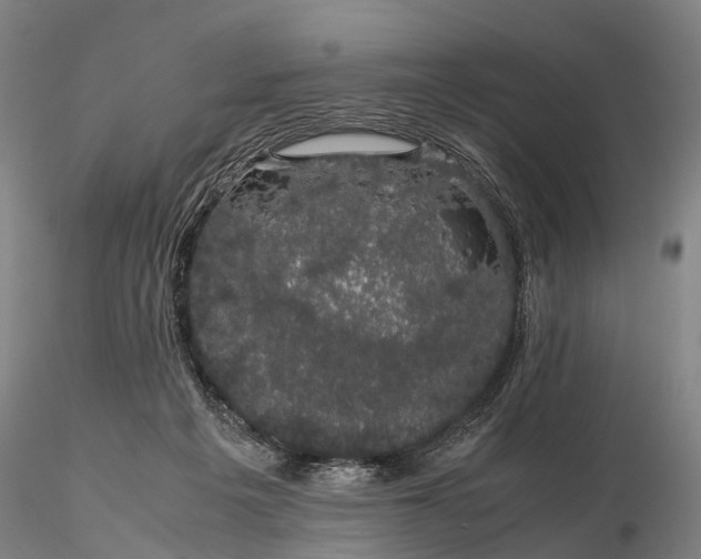 X0000116120217200912071353