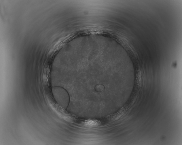 X0000116120218200912071353