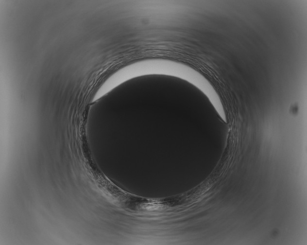 X0000116120219200912071353