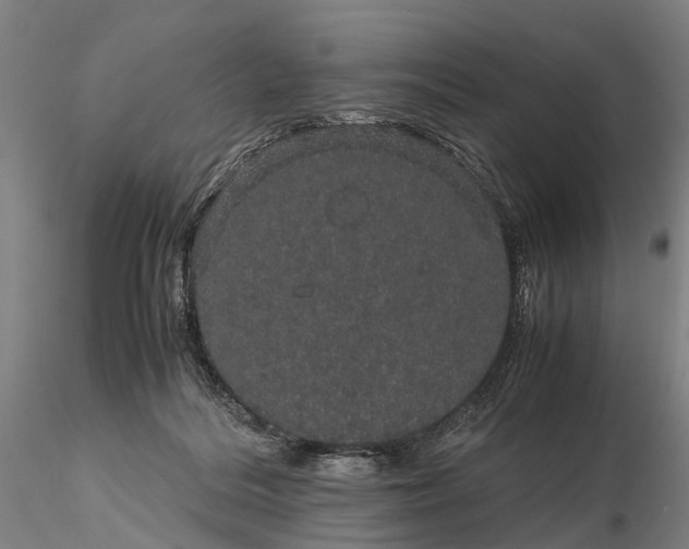 X0000116120220200912071353