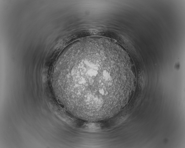 X0000116120221200912071353