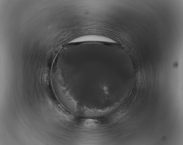 X0000116120222200912071353